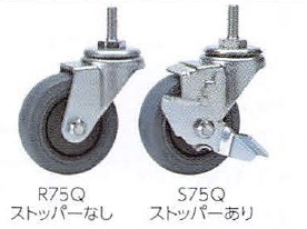 R75Q
