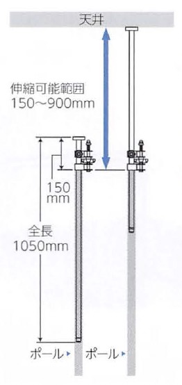 SFPSI2d