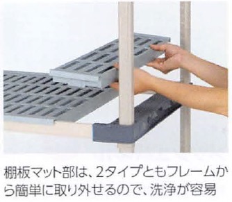erecta_120