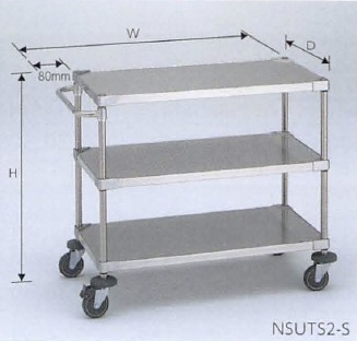 NSUTS2_S